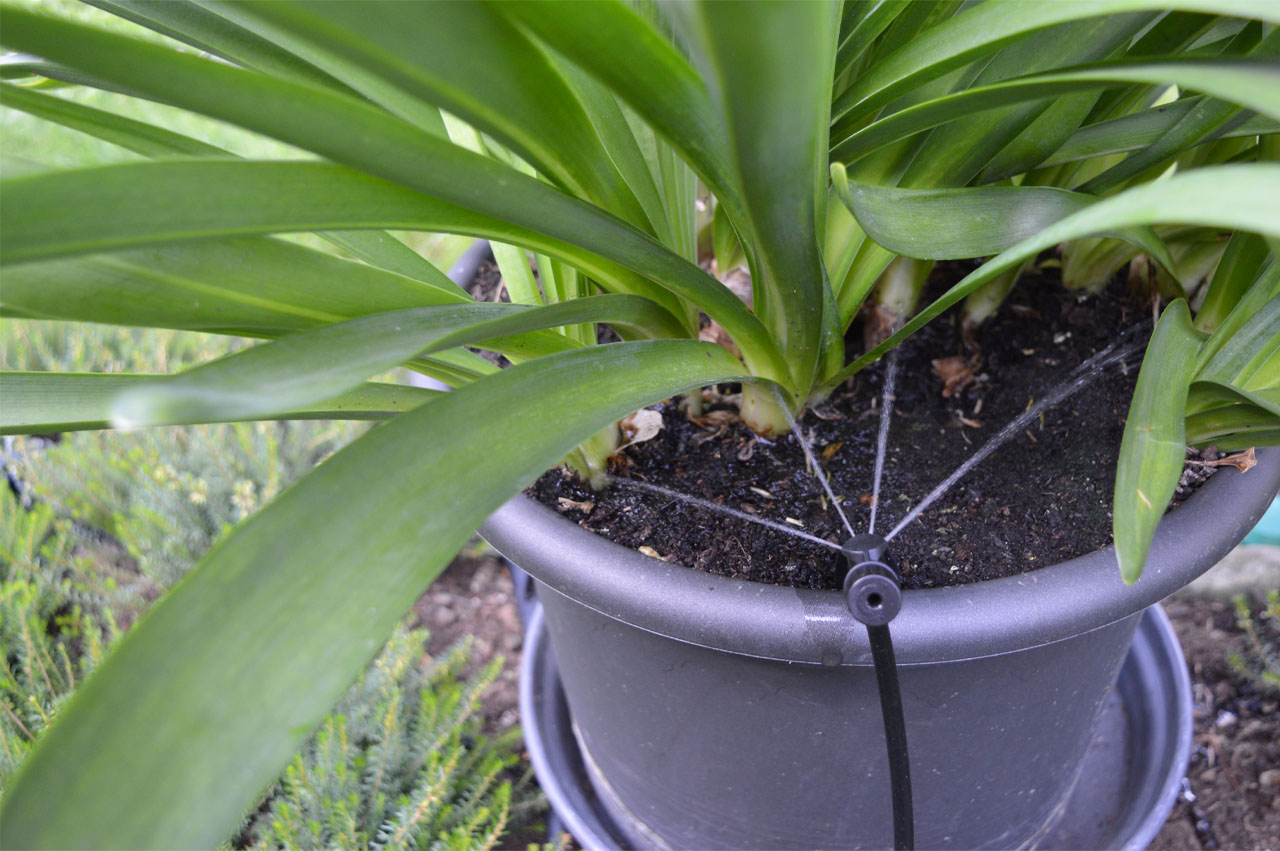 PotStream Topfsprüher in Betrieb einstellbar an der Kappe
