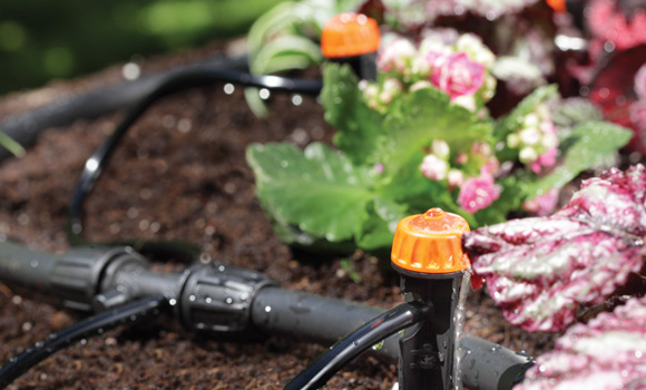 Kontrollierte und gleichmäßige Bewässerung