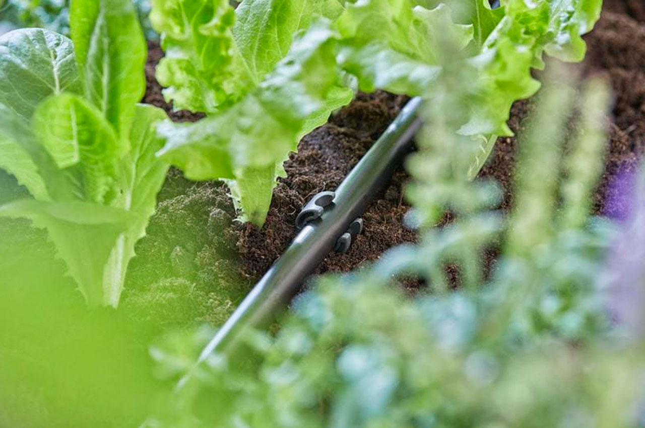 Rohrhalter 13 mm (1/2"), GARDENA 13208-20 (10 Stück)