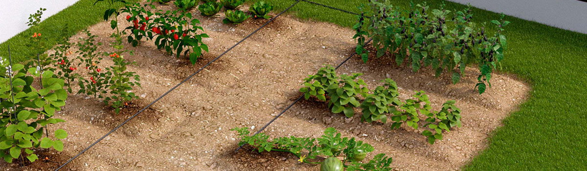 Tropfbewässerung - Die Starter-Sets