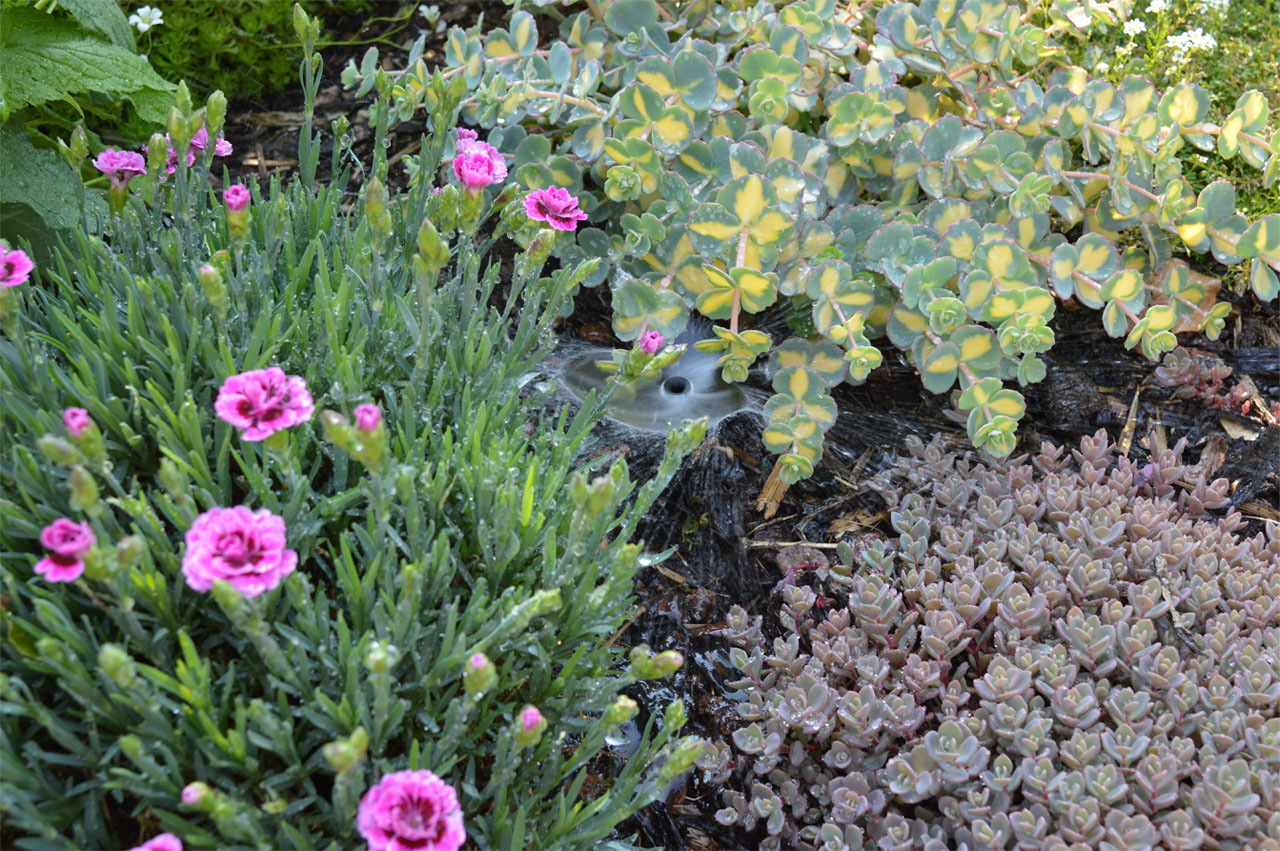 Anwendungsbild Sprüher mit Spieß