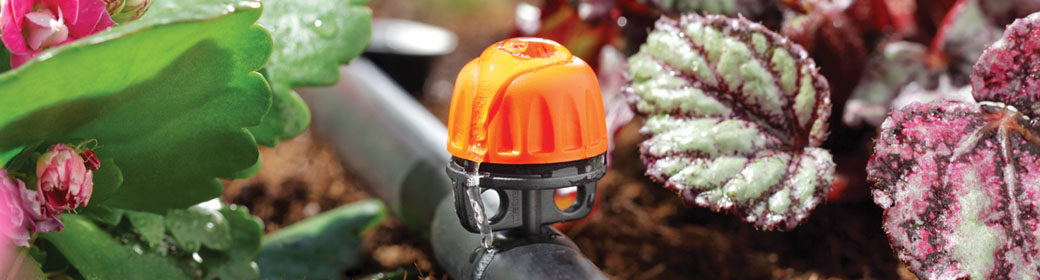 Tropfbewässerung versorgt Pflanzen gezielt und sparsam mit Wasser