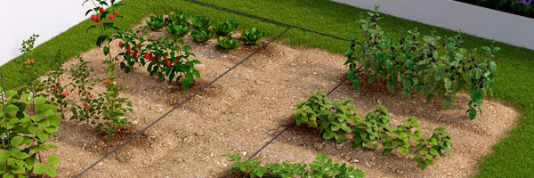 Tropfbewässerung - Die Starter-Sets