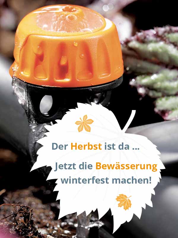 Entwässerung der Gartenbewässerung – So schützen Sie Ihr System zuverlässig vor Frost