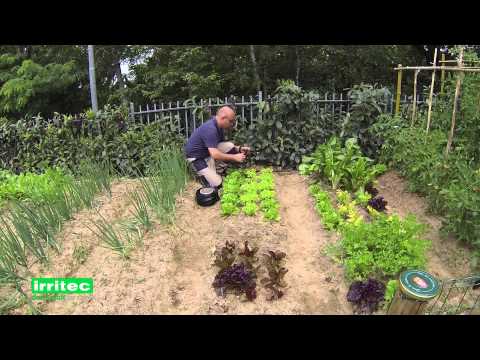 Tropfbewässerungsset IrriGo™ für 150 m² Fläche