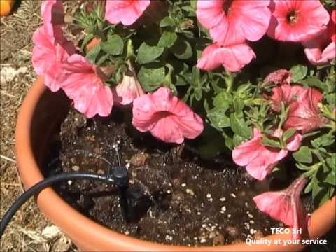 Einstellbare Mikro-Strahlendüse, 180°