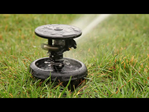 Rain Bird versenkbarer Impulsregner Maxi-Paw 2045 A-08