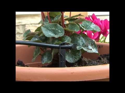 Delta Drip einstellbarer Mikro-Tropfer