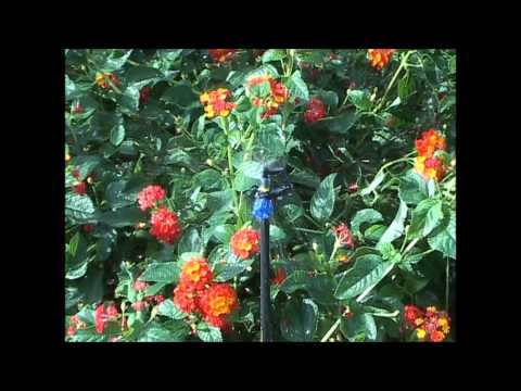 Roto-Jet einstellbar